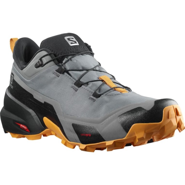 Grey Salomon Cross Hike GTX Men's Hiking Shoes | PH 47598N